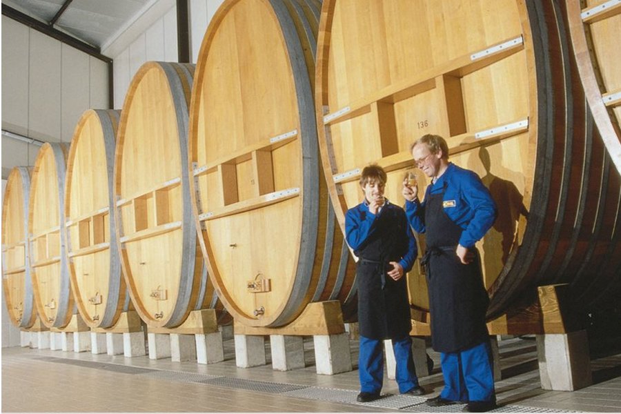 Hero Image Case study Moehl