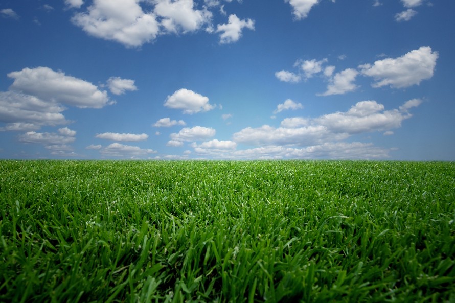Hero Image Green fields